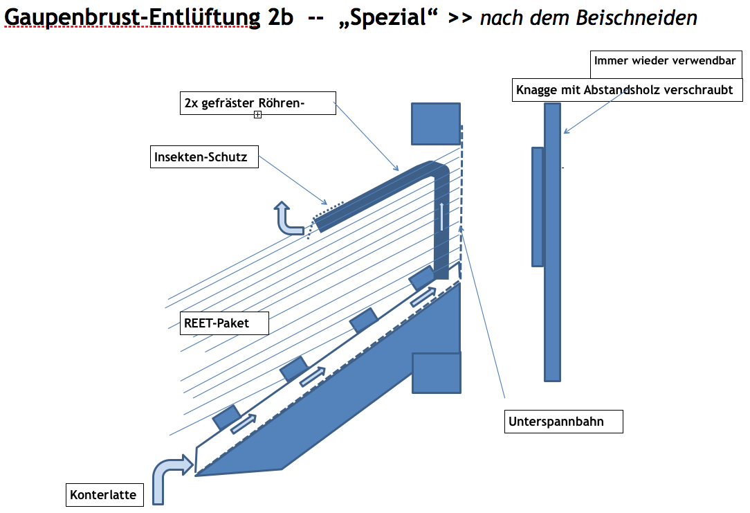 Gaupenbrustentlftung_2b_nachdemBeischneiden_NEU