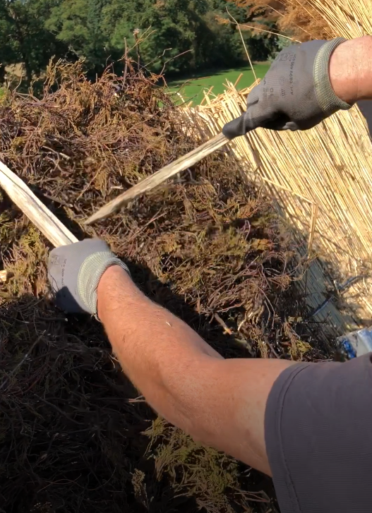 Sticken werden eingeschoben (gepflockt)