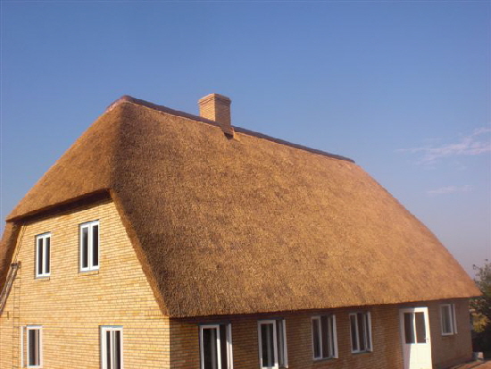 Kupferfirste von Aktiv-Dach schützen das REETdach